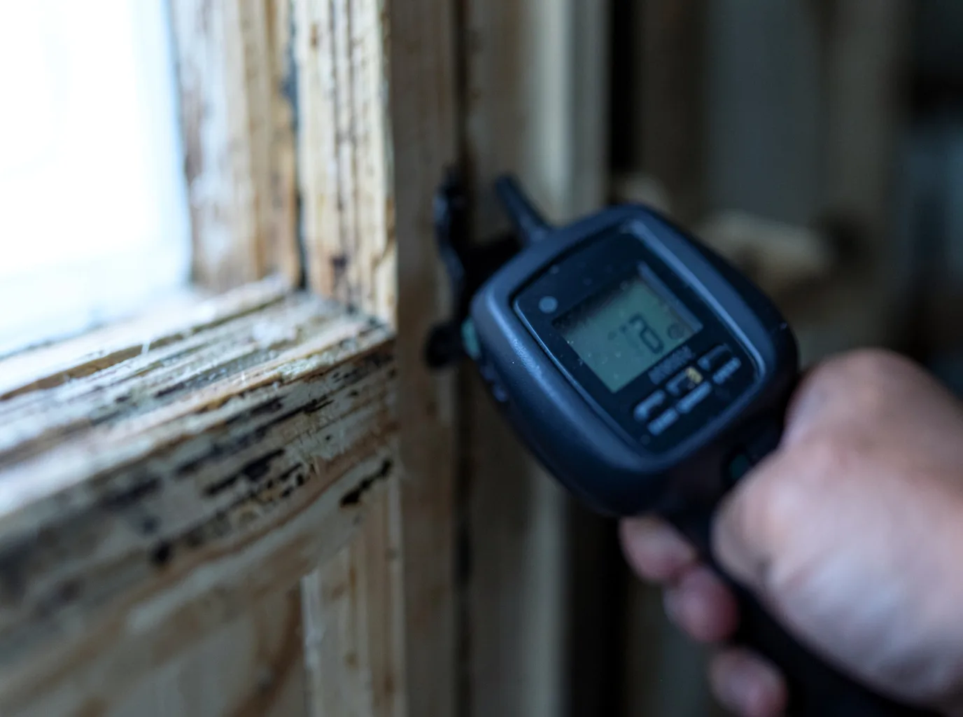 Commercial Water Damage Restoration in Clio, CA